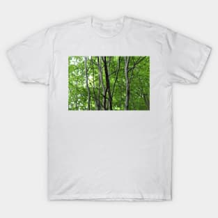 Trees T-Shirt